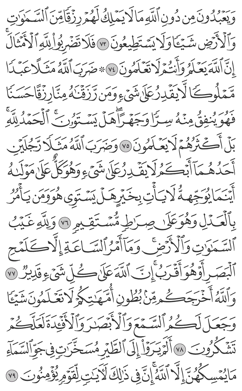 ألم يروا إلى الطير مسخرات في جو السمآء ما يمسكهن إلا الله إن في ذلك لآيات لقوم يؤمنون 