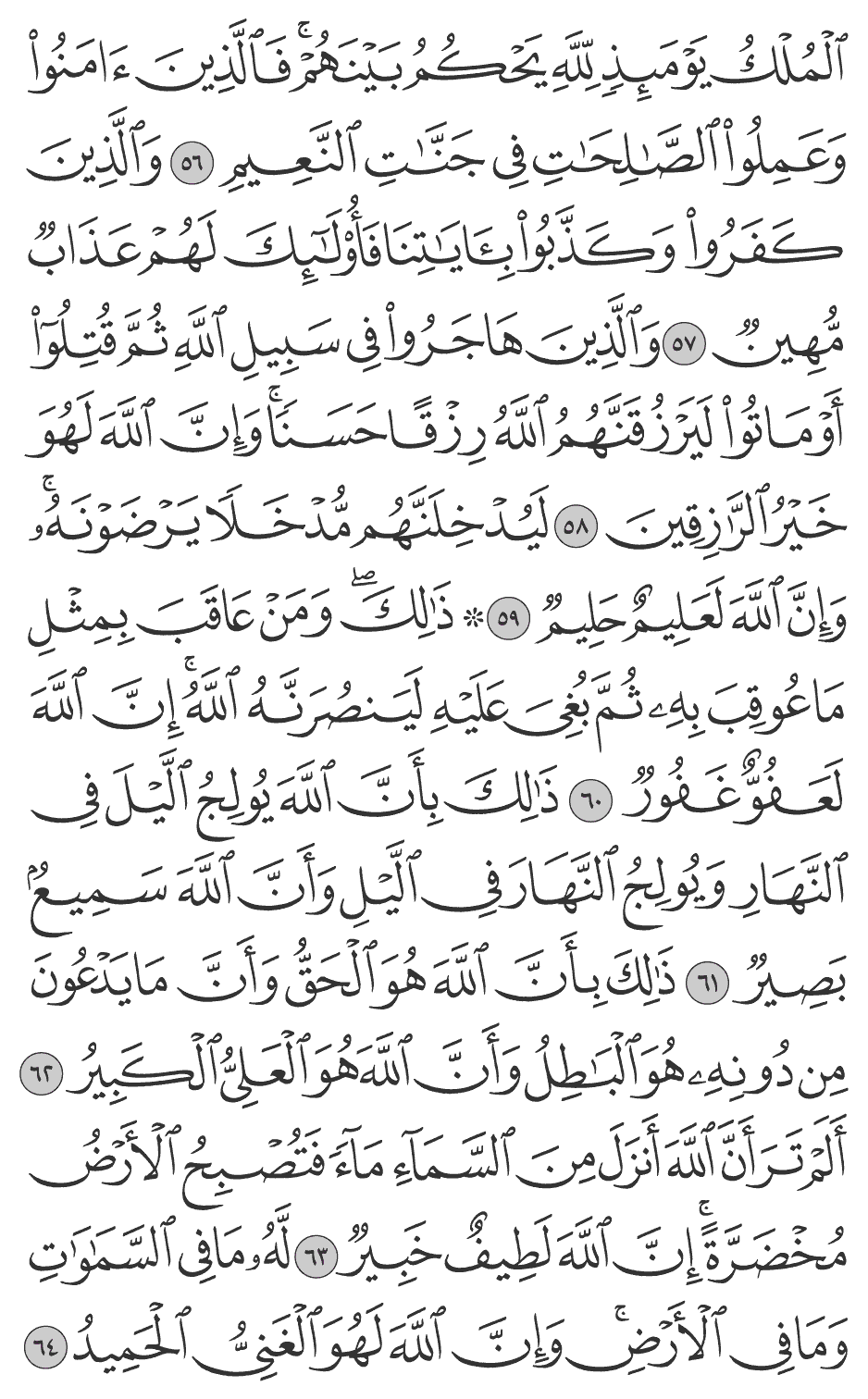 والذين هاجروا في سبيل الله ثم قتلوا أو ماتوا ليرزقنهم الله رزقا حسنا وإن الله لهو خير الرازقين 