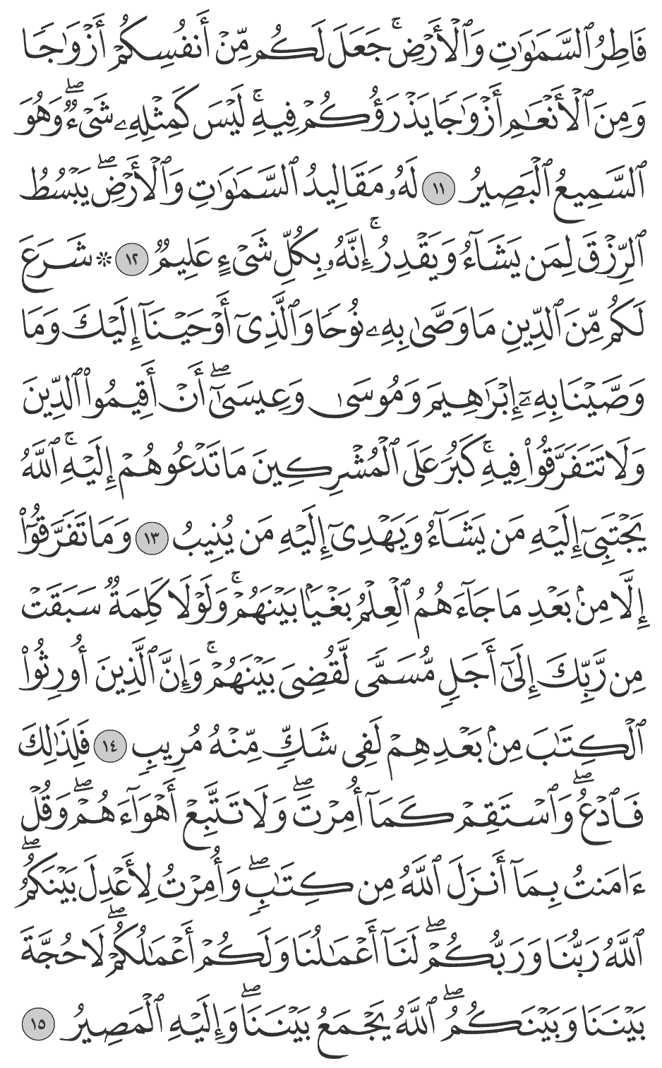 فلذلك فادع واستقم كمآ أمرت ولا تتبع أهوآءهم وقل آمنت بمآ أنزل الله من كتاب وأمرت لأعدل بينكم الله ربنا وربكم لنآ أعمالنا ولكم أعمالكم لا حجة بيننا وبينكم الله يجمع بيننا وإليه المصير 