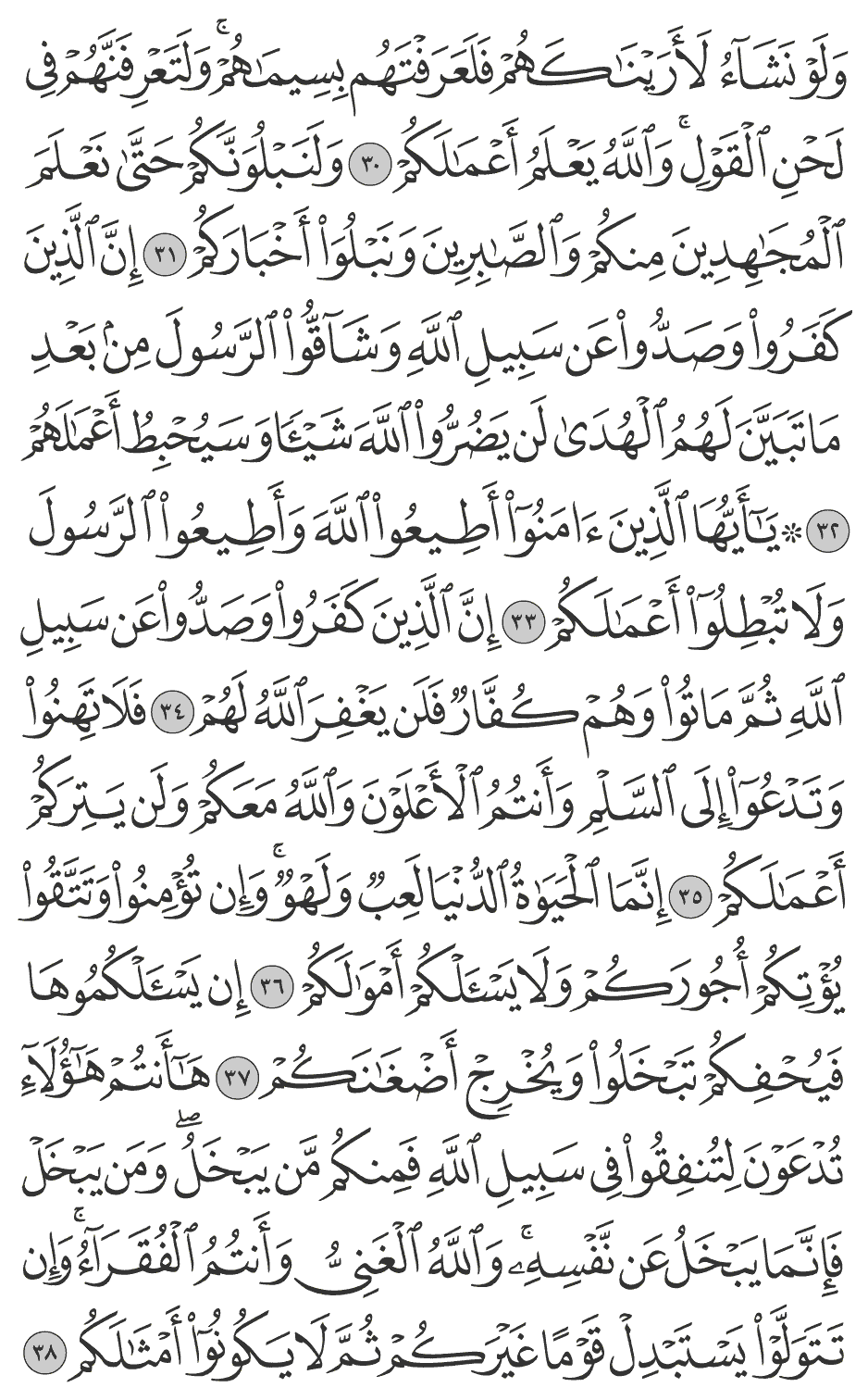 إن الذين كفروا وصدوا عن سبيل الله وشآقوا الرسول من بعد ما تبين لهم الهدى لن يضروا الله شيئا وسيحبط أعمالهم 