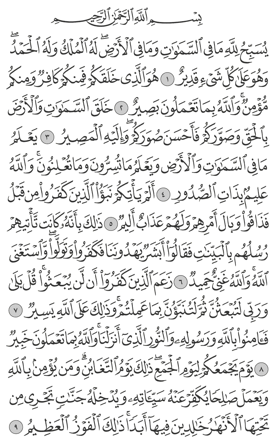 زعم الذين كفروا أن لن يبعثوا قل بلى وربي لتبعثن ثم لتنبؤن بما عملتم وذلك على الله يسير 