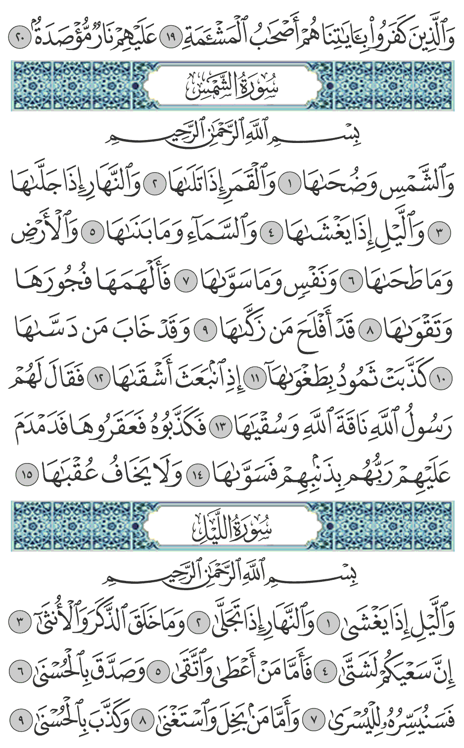 وقد خاب من دساها 