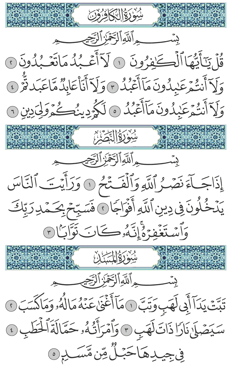 لكم دينكم ولي دين 